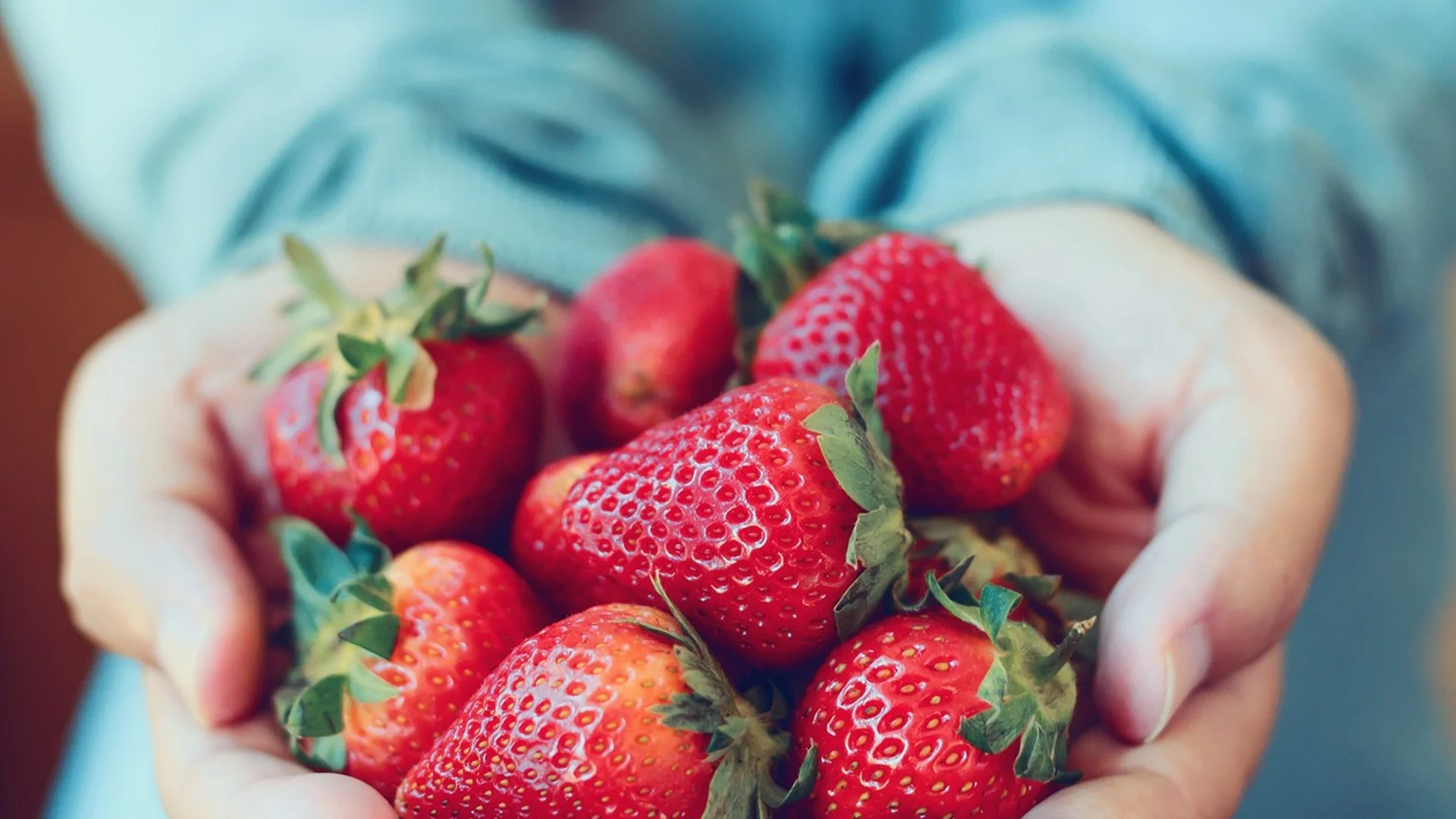 Как най-правилно да наторите ягодите през пролетта, за да имате богата реколта