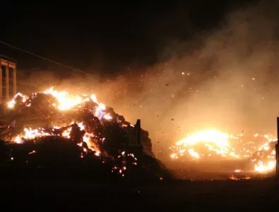 Горски пожари бушуват в Португалия