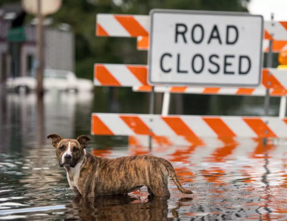 Наводнение удари щата Мисисипи, има извънредно положение
