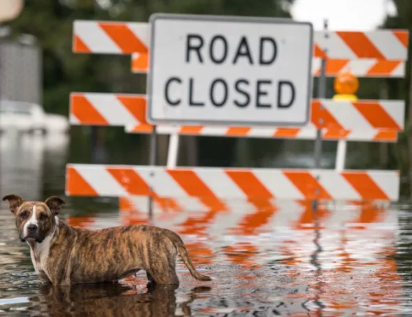 Наводнение удави два града в Калифорния, след като жителите им пренебрегнаха предупреждение за евакуация