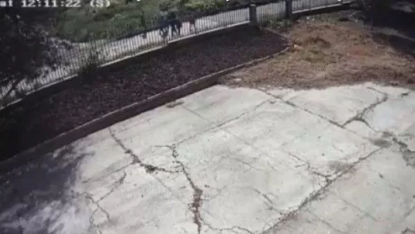 Запис от камера показва бягащия предполагаем убиец на Виктория (ВИДЕО)