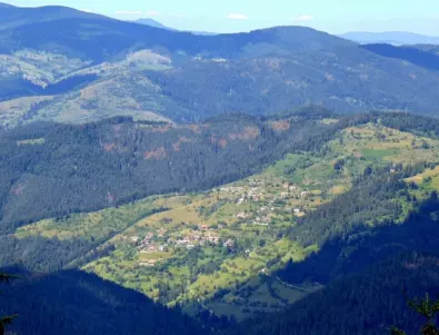 Екоразследване: В Родопите горите чезнат заради сеч