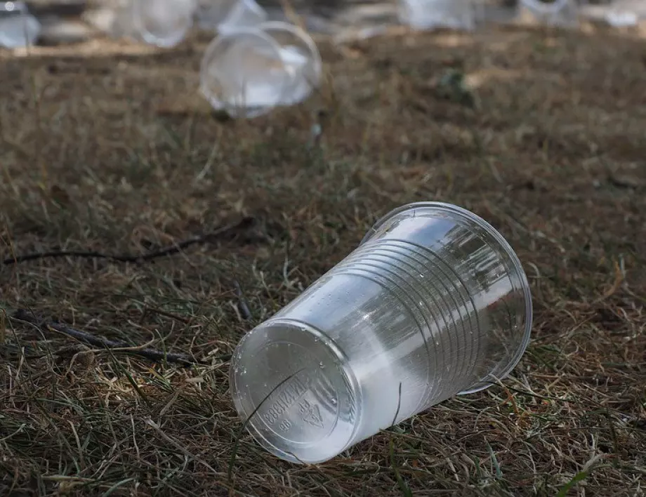 Германия забранява пластмасовите изделия за еднократна употреба 