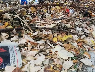 Екипи дебнат хора, изхвърлящи отпадъци на нерегламентирани места в Асеновград