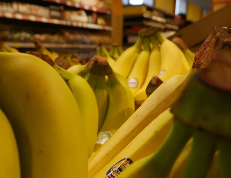 Ди Велт: Бананите са застрашени от изчезване 