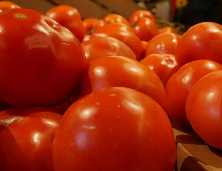"Мързелив" трик при садене на доматите за по-висок добив