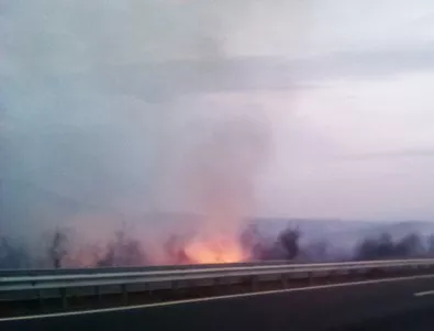 Пожарът край автомагистрала 
