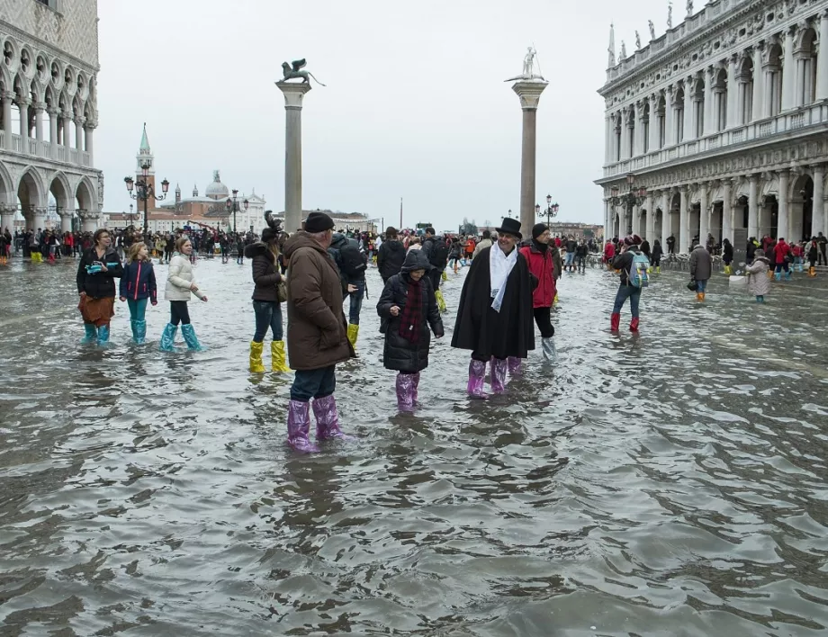 Вода залива Венеция (ВИДЕО)