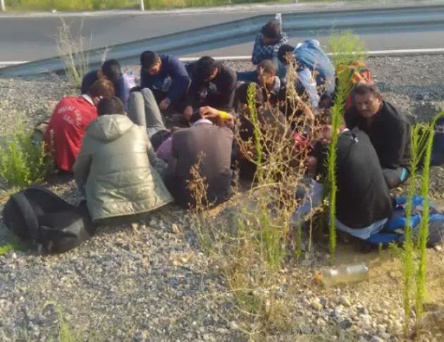 Турция залови над 900 нелегални мигранти при спецакции
