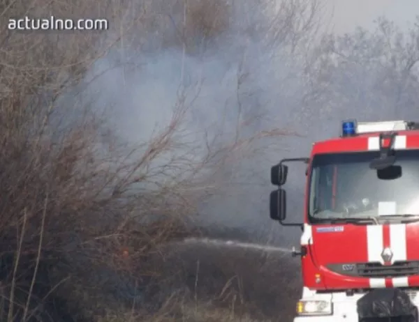 Пламнаха 100 дка борова гора в Родопите