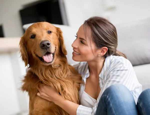 10 причини, с които ще се убедите, че кучетата са най-добрите ни приятели 