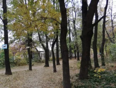 Засаждат 14 000 дървета в новия парк на Пловдив