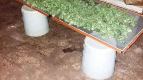 Разкриха лаборатория за марихуана в туристически комплекс край Асеновград