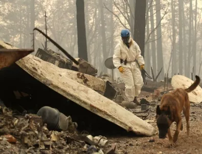 100 000 човека евакуирани заради пожарите в Калифорния 