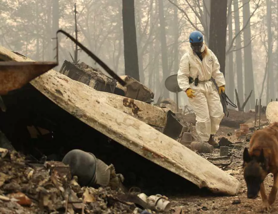 Няма пострадали българи при пожара в Сонома, Северна Калифорния 