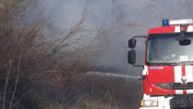 Овладяха за час пожар в борова гора край Варна