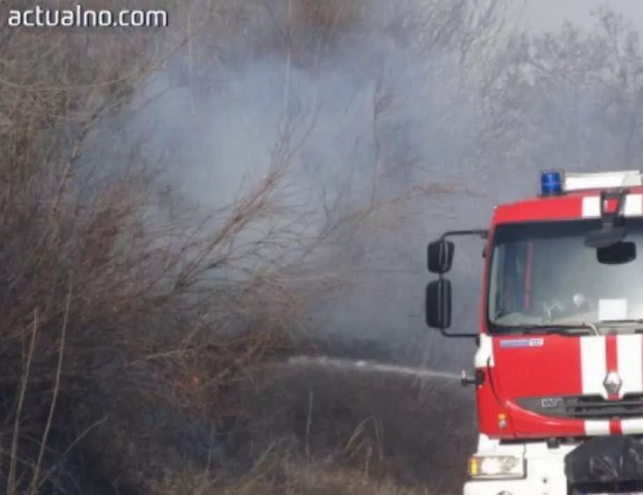 Овладяха за час пожар в борова гора край Варна