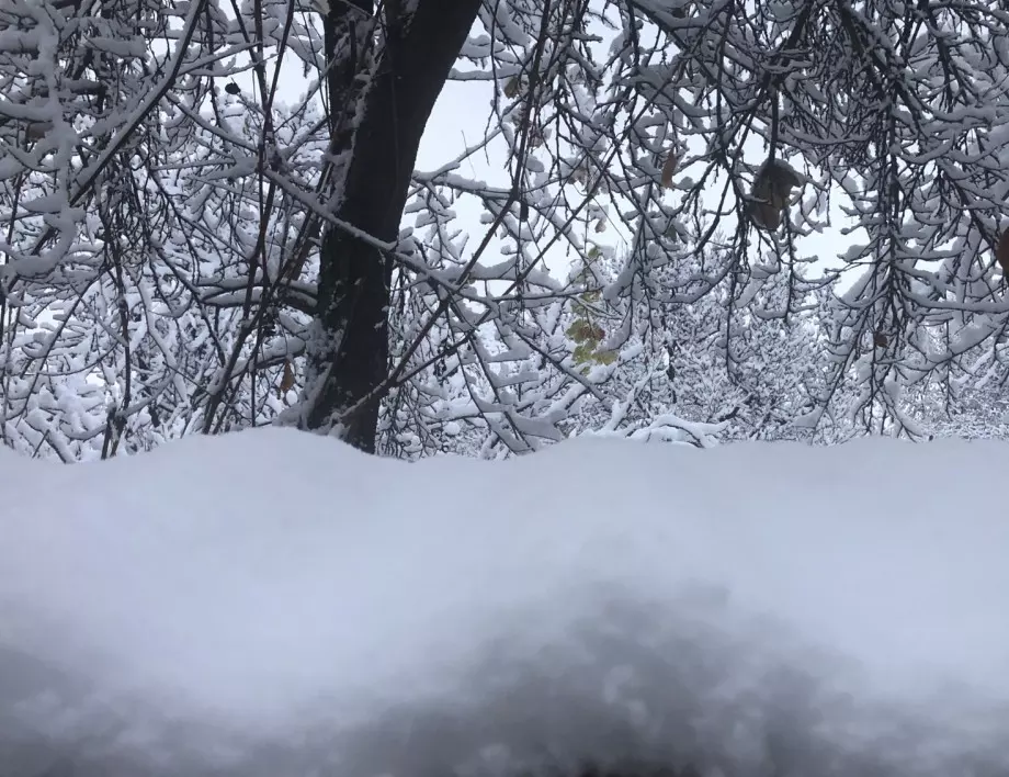 Затварят прохода Троян - Кърнаре заради обилен снеговалеж 