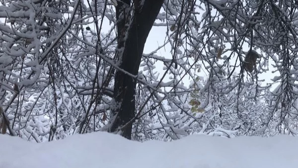 Първа жертва на студа в България през тази година