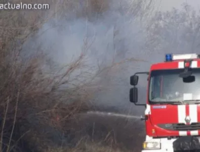 Пожар гори край село Реброво 