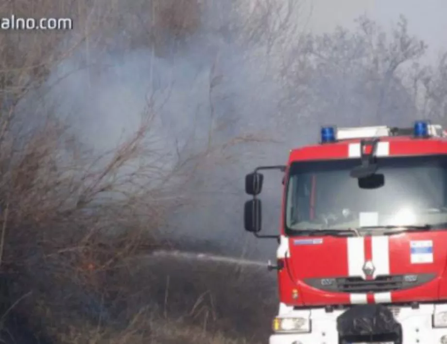 Две вили са изгорели при пожара край Реброво, огънят се разраства 