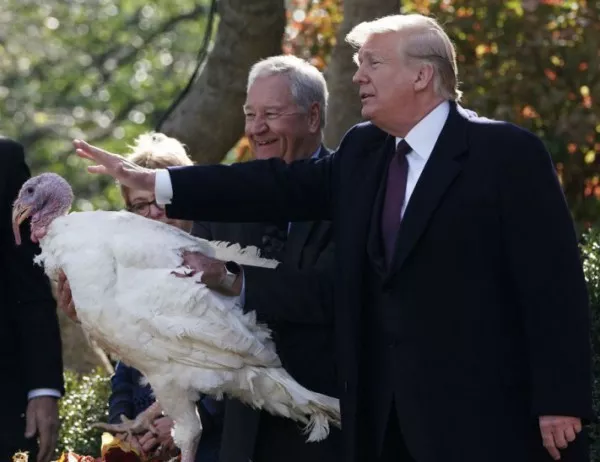 Тръмп надмина Обама и помилва две пуйки за Деня на благодарността (СНИМКИ+ВИДЕО)