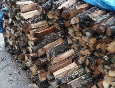 Все повече българи използват дърва за отопляване през зимата