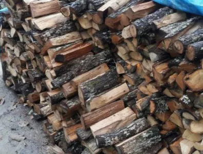Ще има ли недостиг на дърва за огрев заради африканската чума по свинете в Пловдивско?