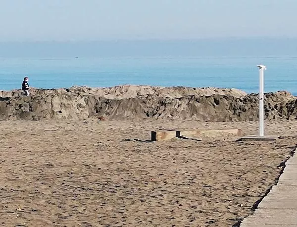 Диги пазят бургаския плаж през зимата