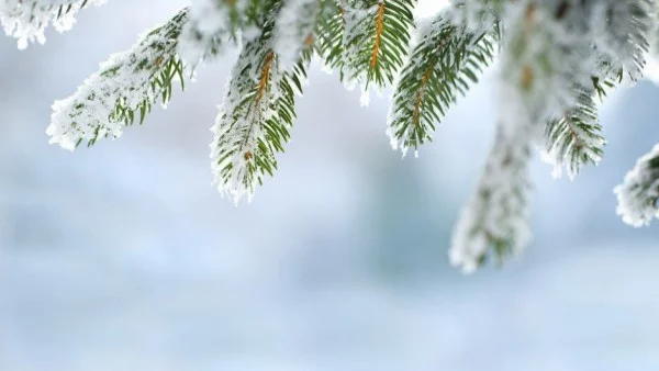 Прогноза за времето - 5 януари (събота)