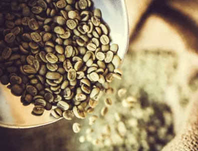 Ето как се приготвя зеленото кафе - лесно, но и рисковано решение за проблема с килограмите!