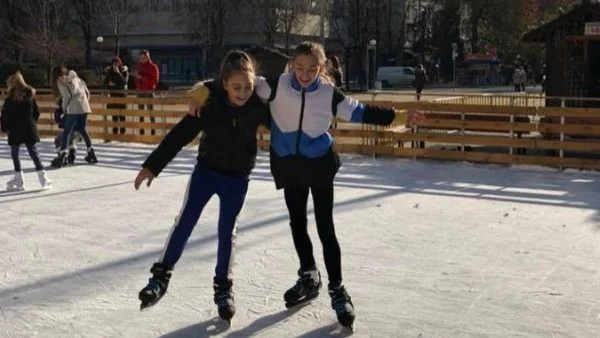 Най-голямата жива елха в България грейва в Димитровград