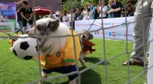 Спортът по телевизията днес (20.09)