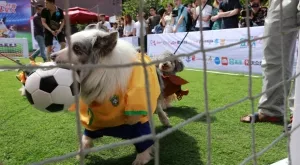 Спорт и футбол по телевизията днес (12.10)