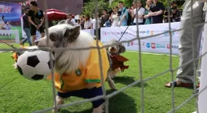 Спортът по телевизията днес (16.09)