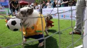 Мачовете по телевизията днес (20.01)