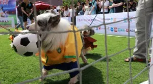 Футбол и спорт по телевизията днес (25.02)