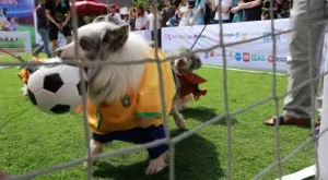 Футбол и спорт по телевизията днес (19.03)