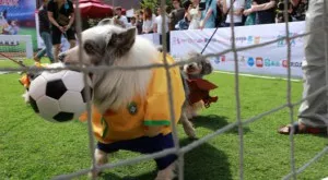 Мачовете по телевизията днес (24.05)