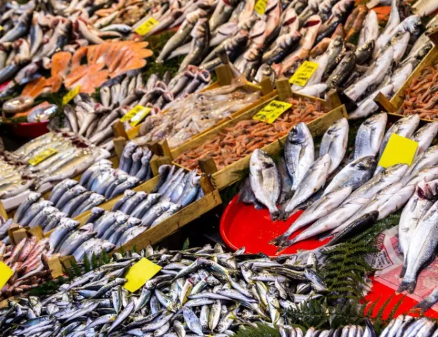 Рибните запаси в Европа намалят драстично