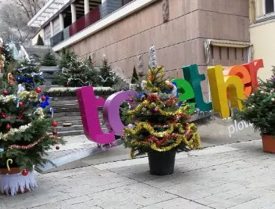 Пловдивчани украсяват истински коледни дръвчета в центъра на града