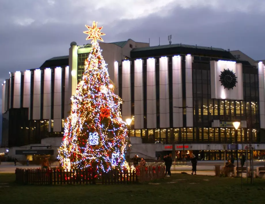 Коледната елха в София ще грейне днес, но без тържество 