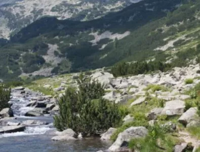 Румен Радев: Българските планини са безценен природен ресурс, но и част от националната ни идентичност