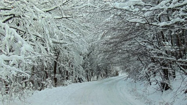 Вижте къде падна най-много сняг