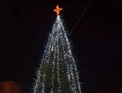 Коледната елха на Ивайловград заблестя