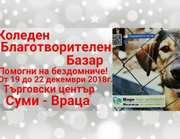 Благотворителен базар в помощ на бездомни животни ще работи във Враца