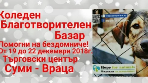 Благотворителен базар в помощ на бездомни животни ще работи във Враца