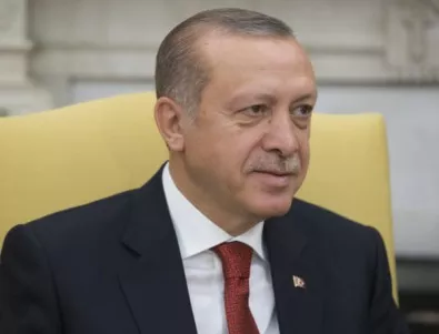Партията на Ердоган иска касиране на изборите 
