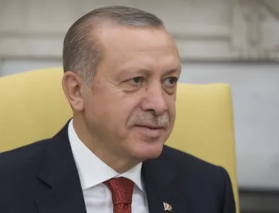 Ердоган призова за нови избори в Истанбул 