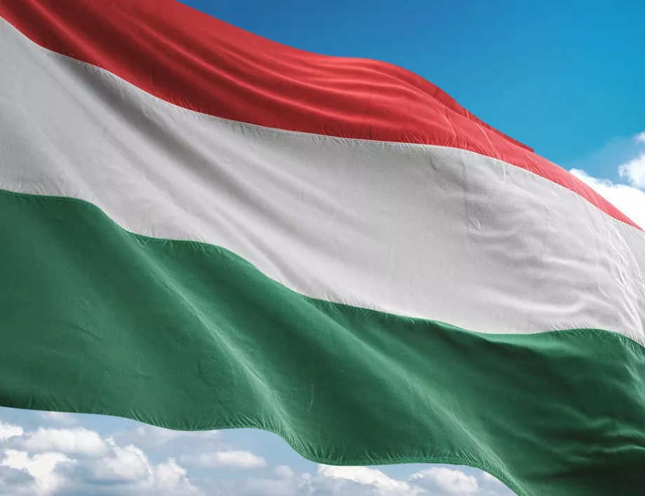 Местни избори в Унгария 
